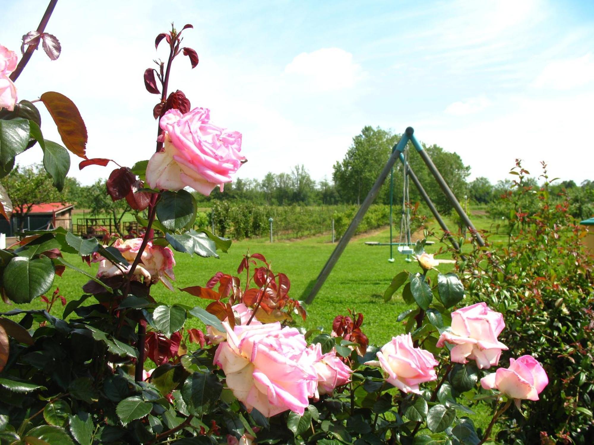 Agriturismo Cascina Aguzza Оледжо Екстериор снимка