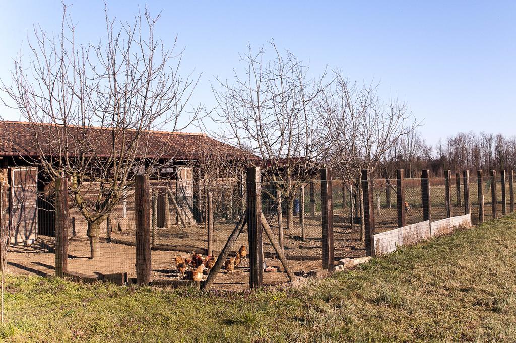 Agriturismo Cascina Aguzza Оледжо Екстериор снимка