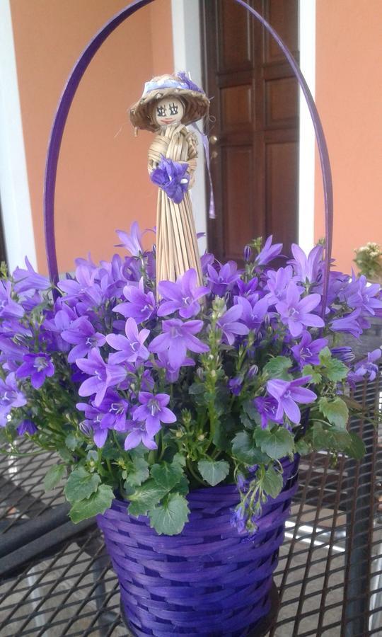 Agriturismo Cascina Aguzza Оледжо Екстериор снимка